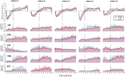 Variability analysis of muscle activation symmetry to identify indicators of individual motor strategy: a case series on elite Paralympic powerlifters